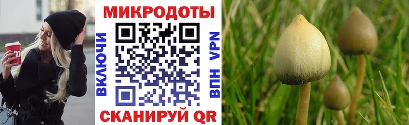 Купить закладки  Белинский  Галлюциногенные грибы Psilocybine cubensis 